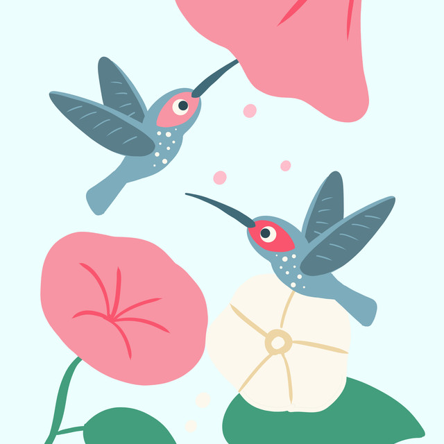 Kissen Kolibri mit Trichterwinde
