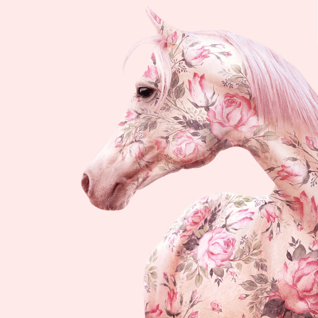 Kissen Floral Horse