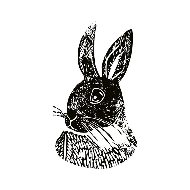 Kissen Bunny schwarzweiß