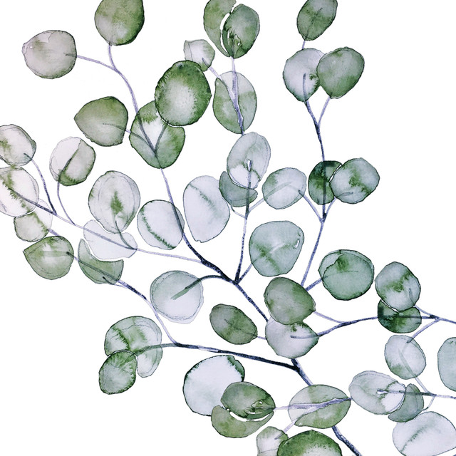Geschirrtücher Eucalyptus Watercolor