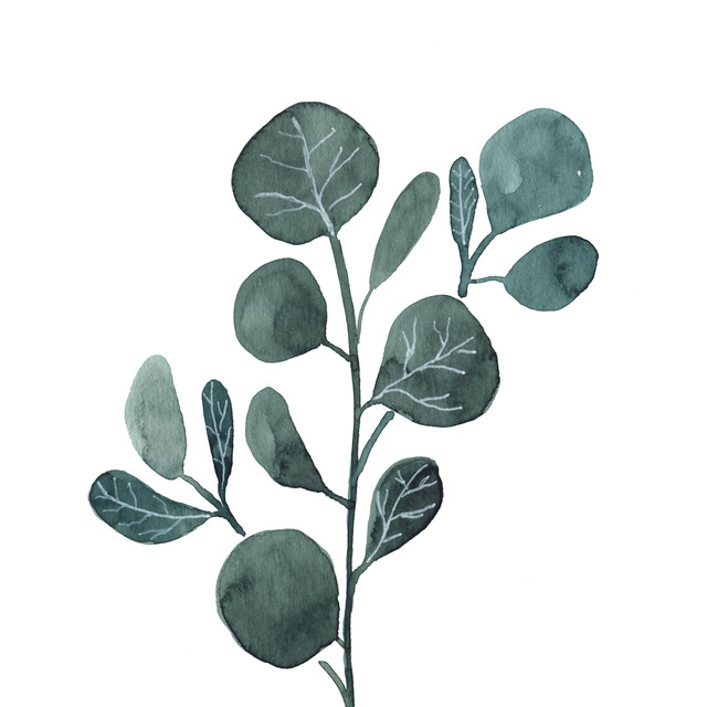 Kissen Watercolor Plant Eukalyptus