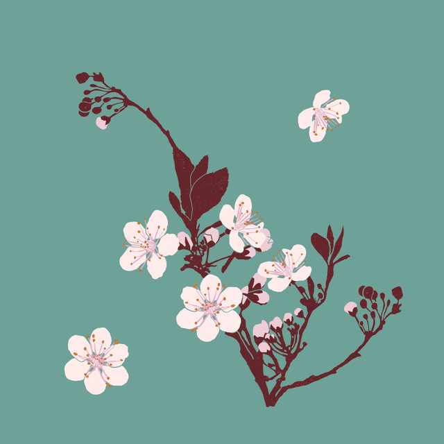 Geschirrtücher Kirschblüten türkis