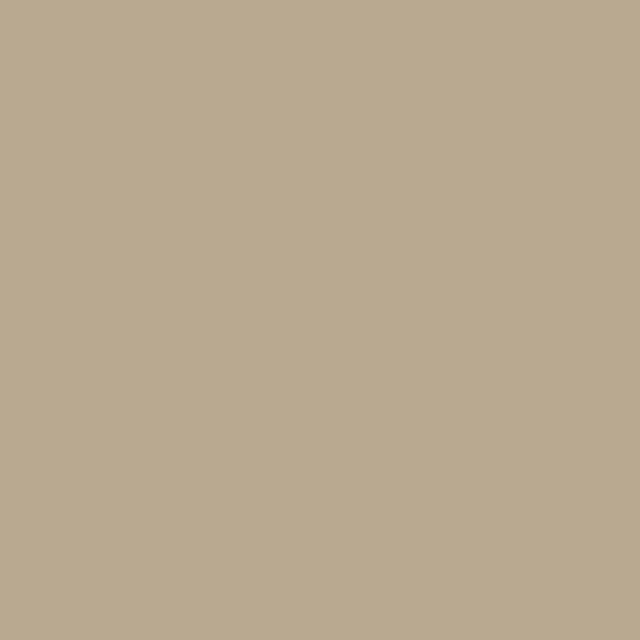 Kissen colors Sand Rustic Lines