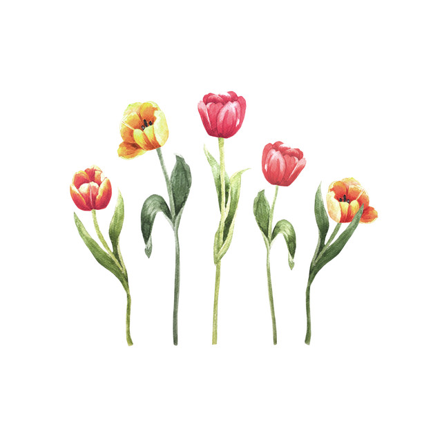 TextilposterBunte Tulpen Frühling Aquarell