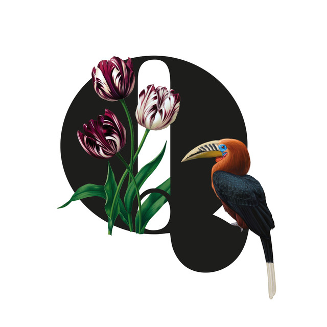 Geschirrtücher Botanical Alphabet Q