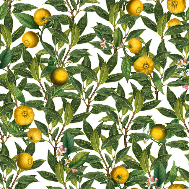 Textilposter Vintage Zitrus Früchte Muster