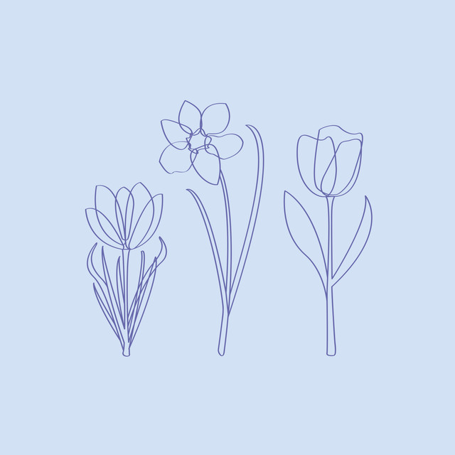 Servietten Lined Spring Flowers Blue