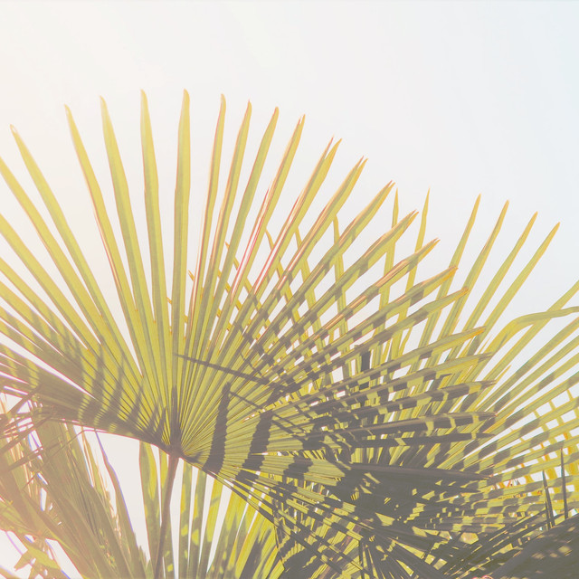 Kissen Tropische Palmenwedel