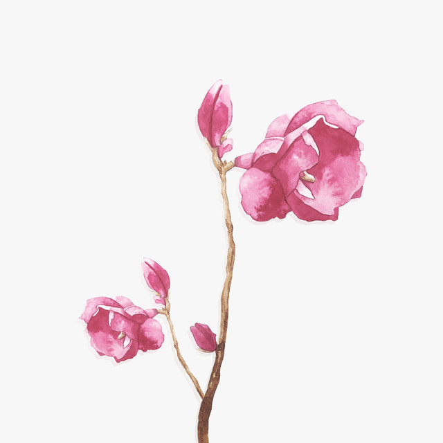 Textilposter Rosenzweig mit pinken Blüten