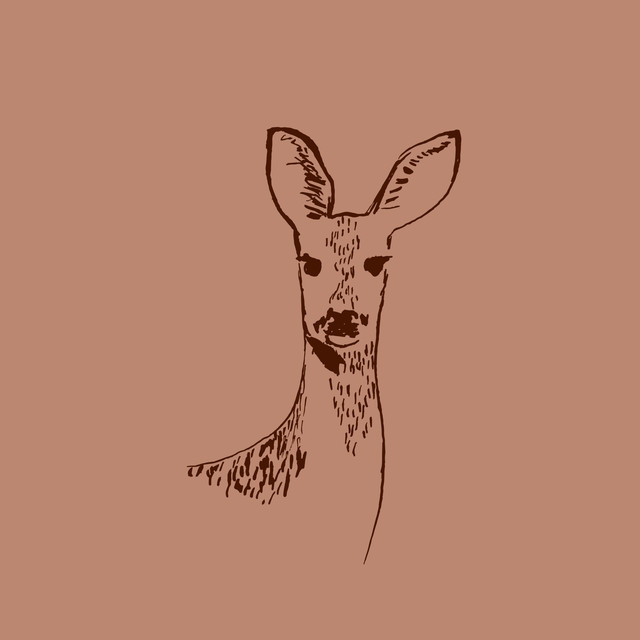 Kissen Woodland Deer