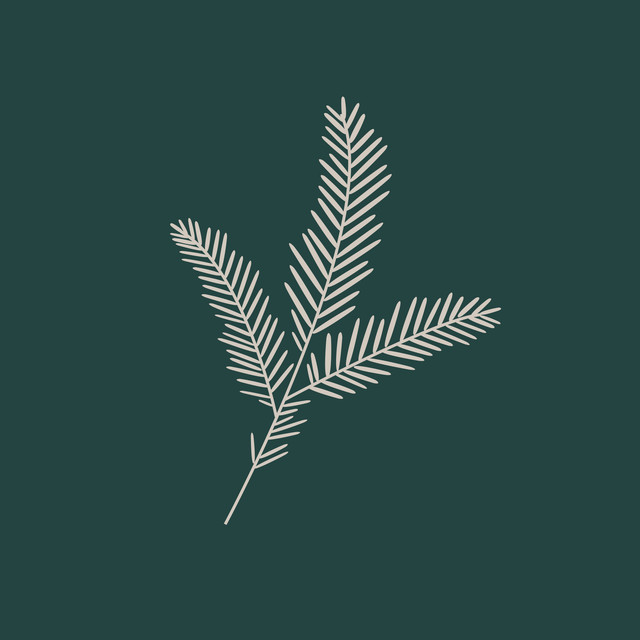 Servietten Fir Branch fir green