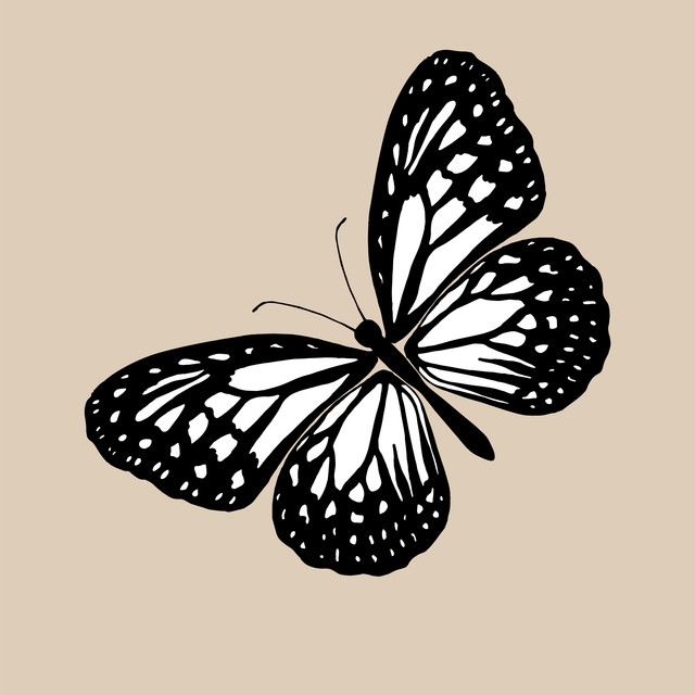 Textilposter Butterfly