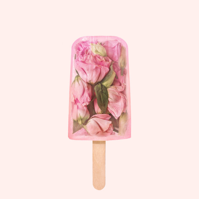Kissen Floral Popsicle