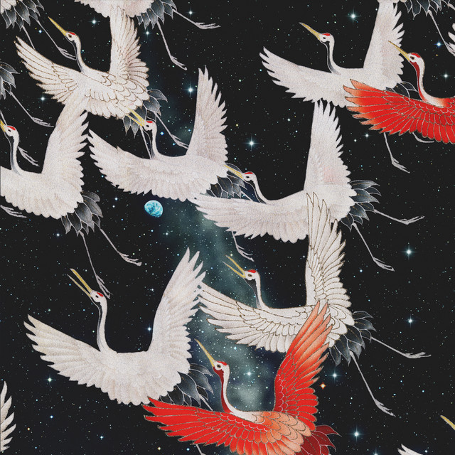 Kissen Space Cranes