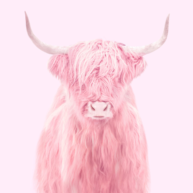 Servietten Pink Highland Cow