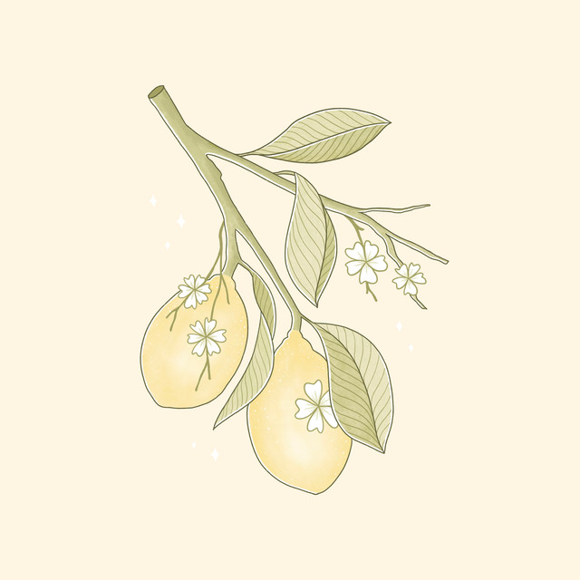 Kissen Lemons