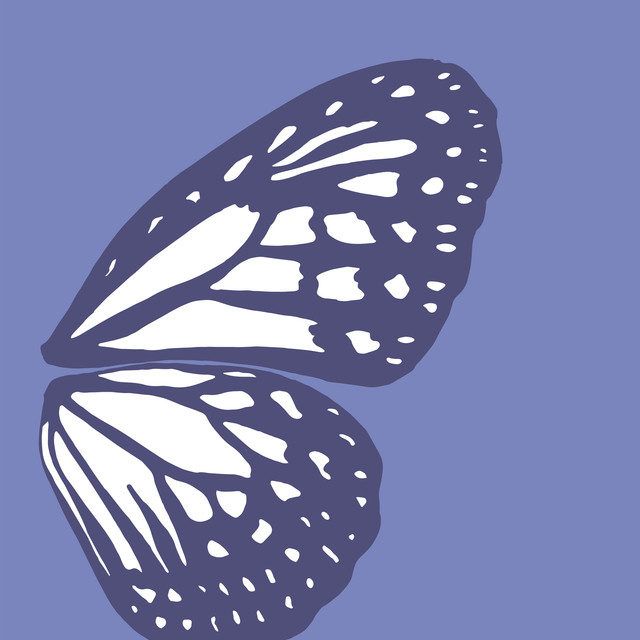 Textilposter Butterfly Wing blue