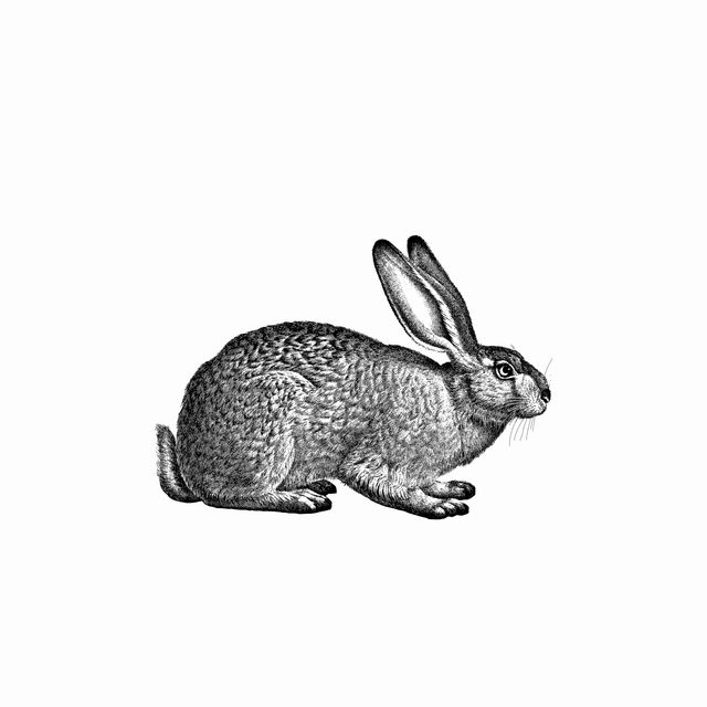 Kissen Vintage Osterhase 1