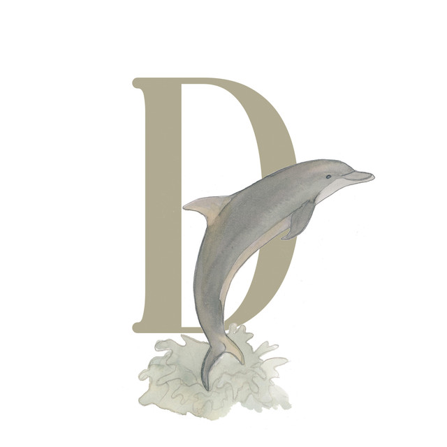 Kissen D-Delfin