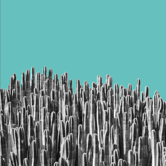 Tischset Portrait Cacti 01