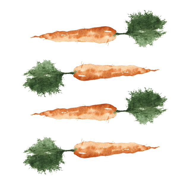 Geschirrtücher Karotte