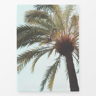Geschirrtücher Palmenblätter im Wind