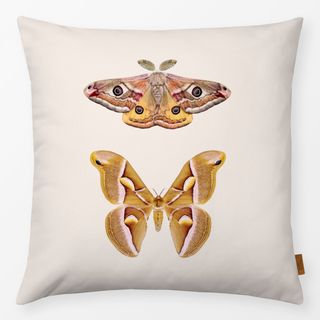 Kissen Moths
