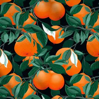 Meterware Graphic Oranges