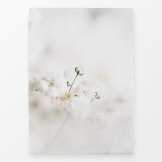 Geschirrtücher White Flower