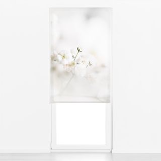 Raffrollo White Flower