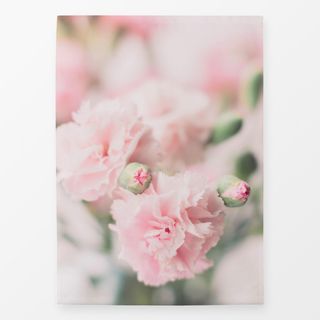 Geschirrtücher Pink Carnations