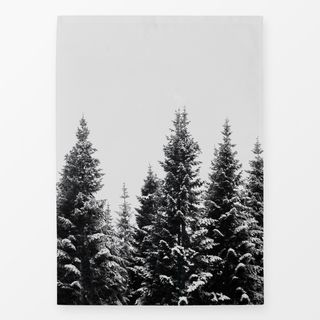 Geschirrtücher Snow Covered Trees