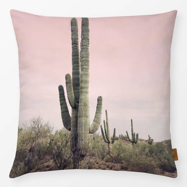 Kissen Blush Cactus