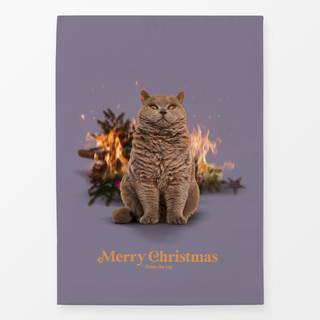 Geschirrtücher Merry Christmas From The Cat