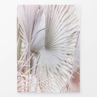 Geschirrtücher Palmera